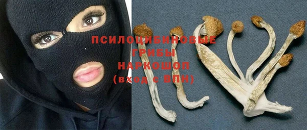 мяу мяу мука Алексеевка