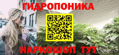сатива Нальчик
