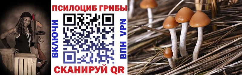 Галлюциногенные грибы прущие грибы  Черкесск 