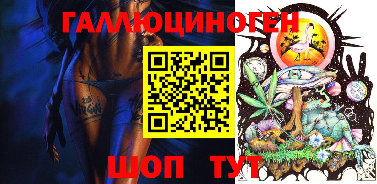 Галлюциногенные грибы MAGIC MUSHROOMS  Вход с VPN  Галлюциногенные грибы Psilocybe  Черкесск 