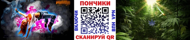 МАРИХУАНА сатива  где найти   Черкесск 
